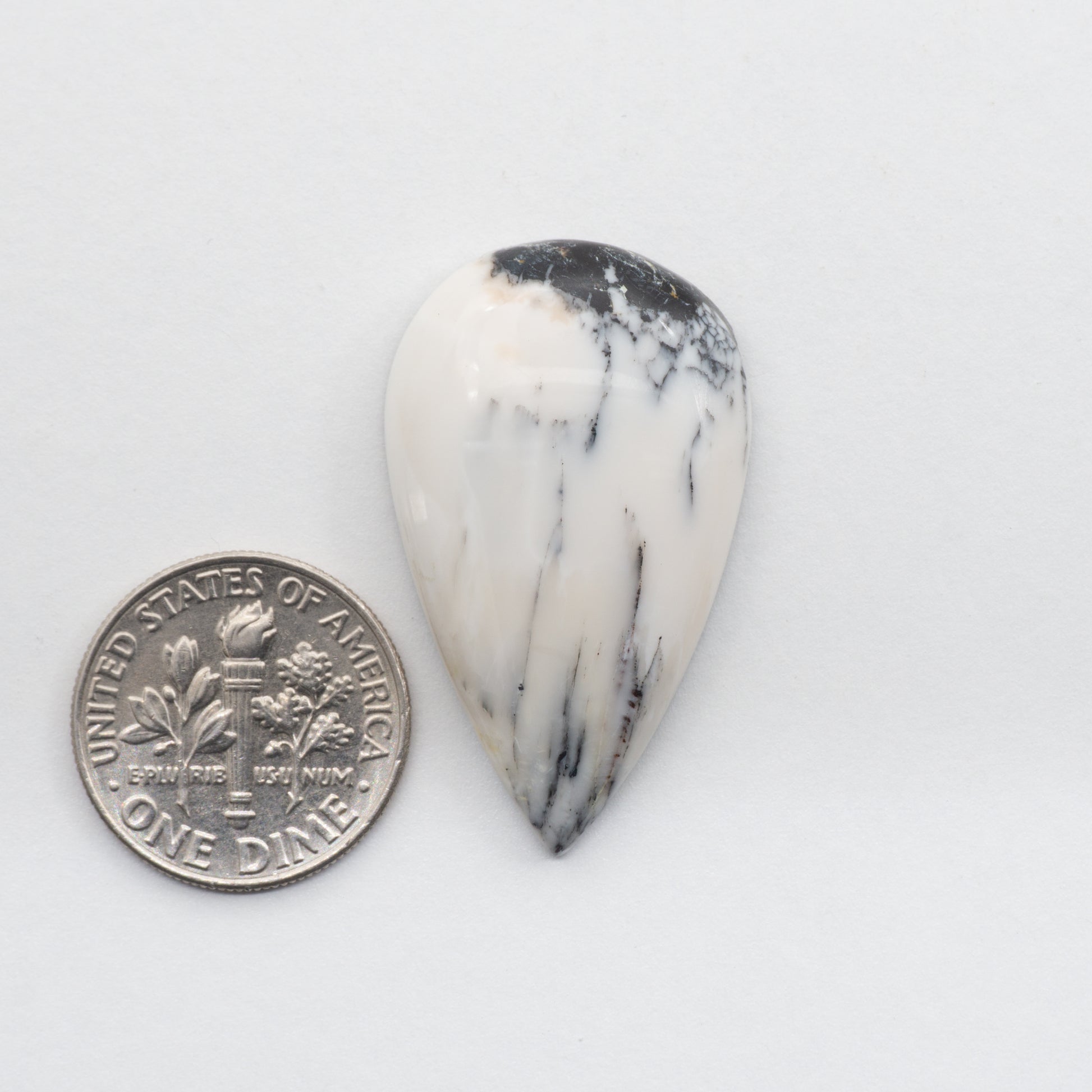 These Natural White Buffalo Cabochons have a glossy finish and are backed for added strength. Mined in Nevada, USA these stones are similar to turquoise used for jewelry making.