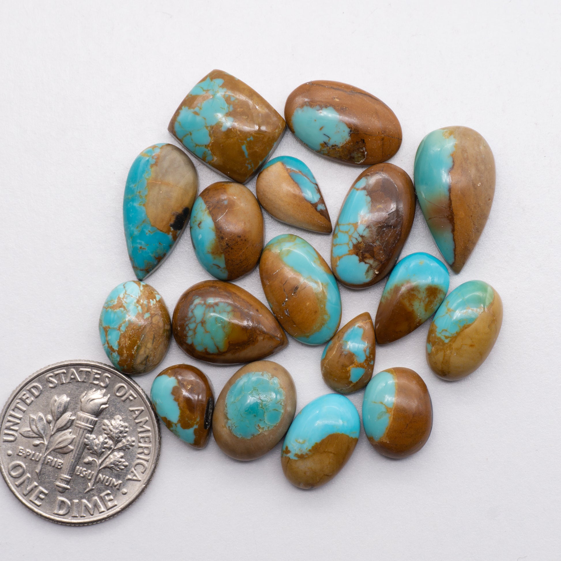 Kings Manassa Turquoise 