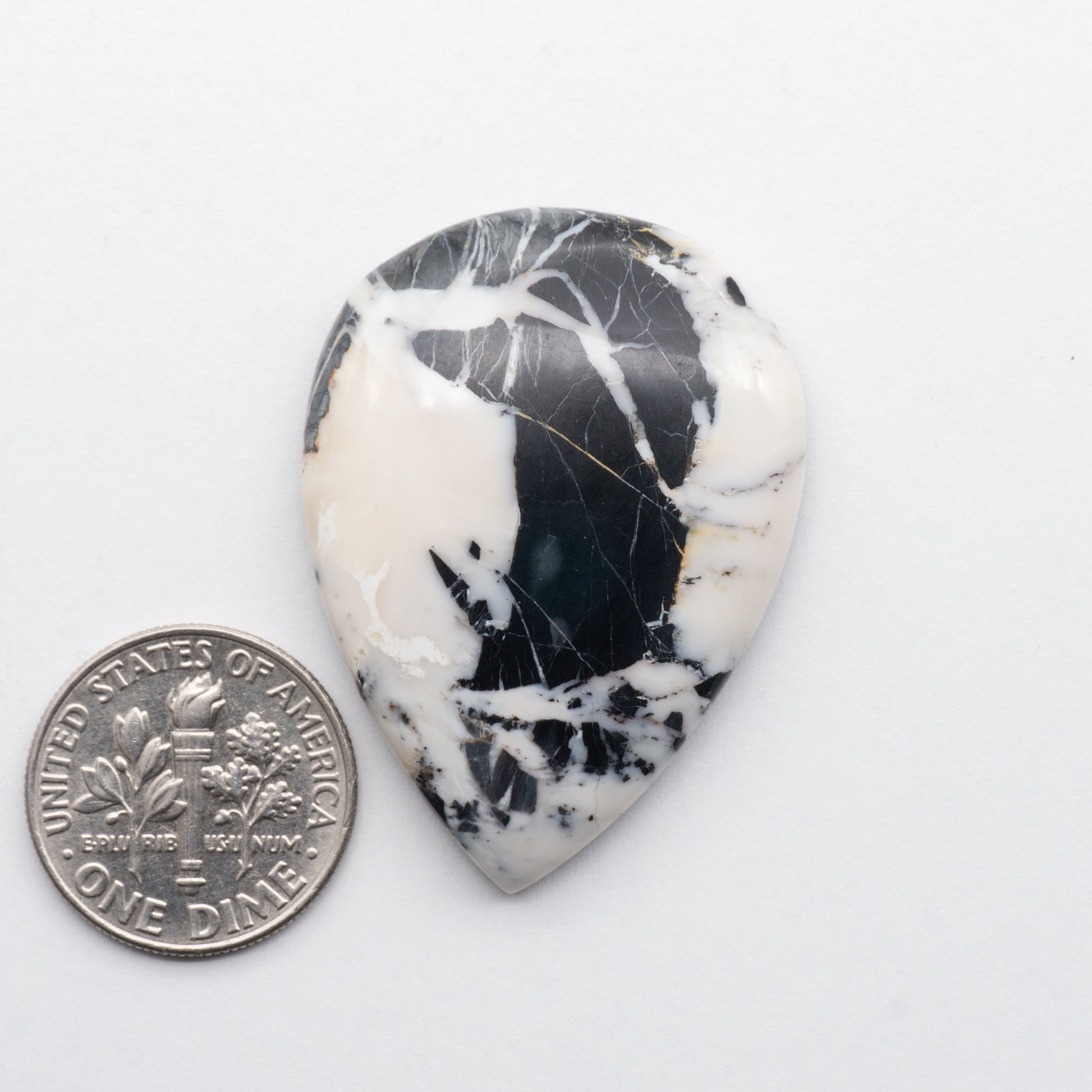 White Buffalo Stone Cabochons 