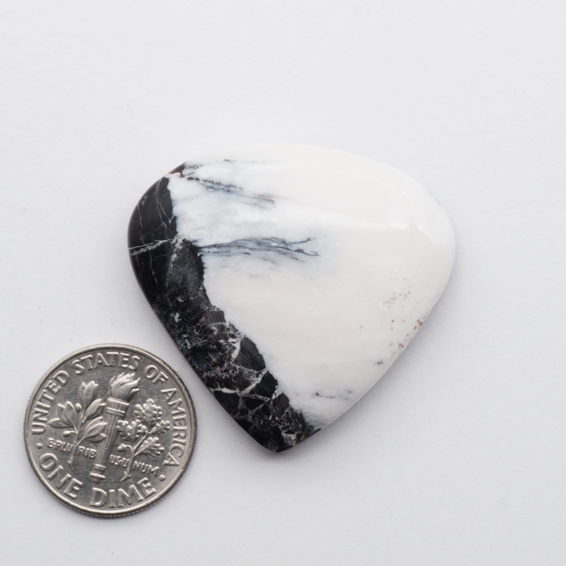 White Buffalo Stone Cabochons 