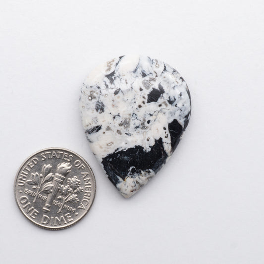 White Buffalo Cabochons have a glossy finish and are backed for added strength. White Buffaloe is mined in Nevada, USA White Buffalo is similar to turquoise and is used for jewelry making.