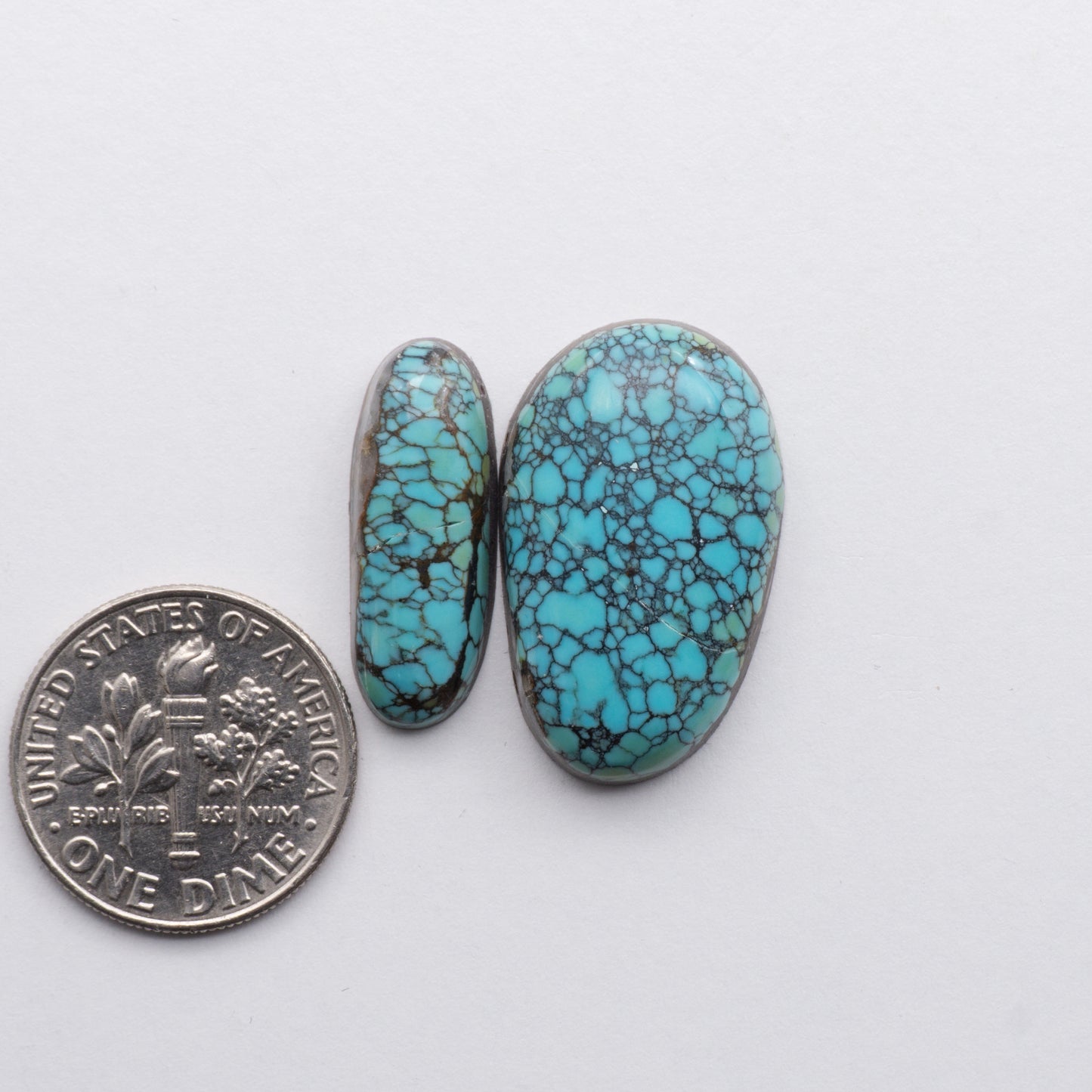 Blue Moon Turquoise Cabochons