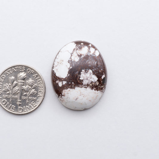This stunning Natural Wild Horse Cabochon lot is a magnificent addition to any collection.