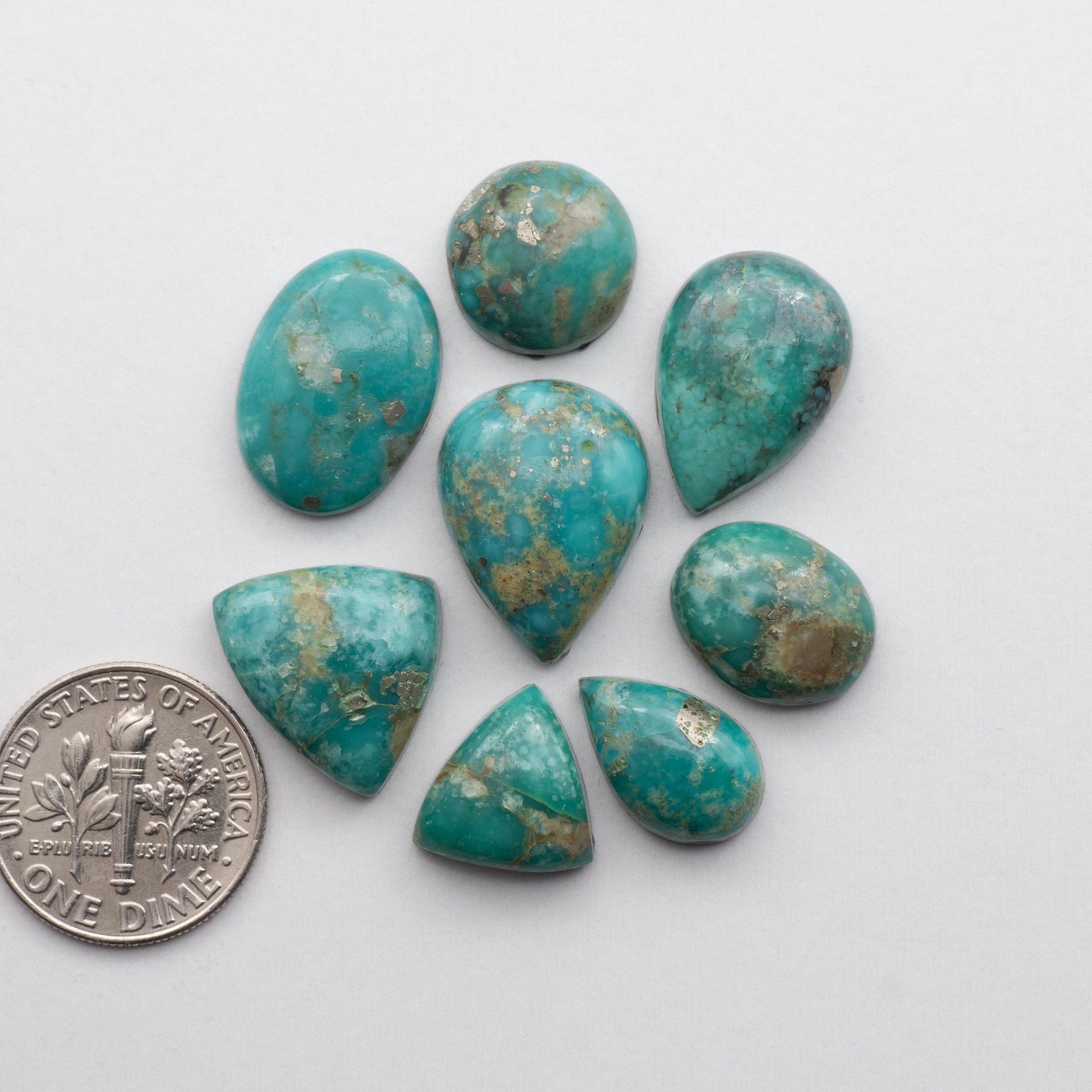 <p>Campitos Turquoise is sure to be a stunning addition to your jewelry. These stones are stabilized and backed for added strength.</p> <p>&nbsp;</p>