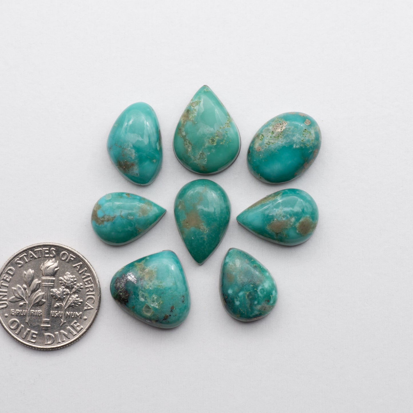 <p>Campitos Turquoise is sure to be a stunning addition to your jewelry. These stones are stabilized and backed for added strength.</p> <p>&nbsp;</p>