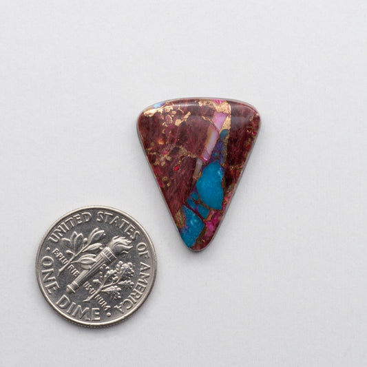 Kingman Turquoise &amp; Spiny Oyster Shell Cabochon