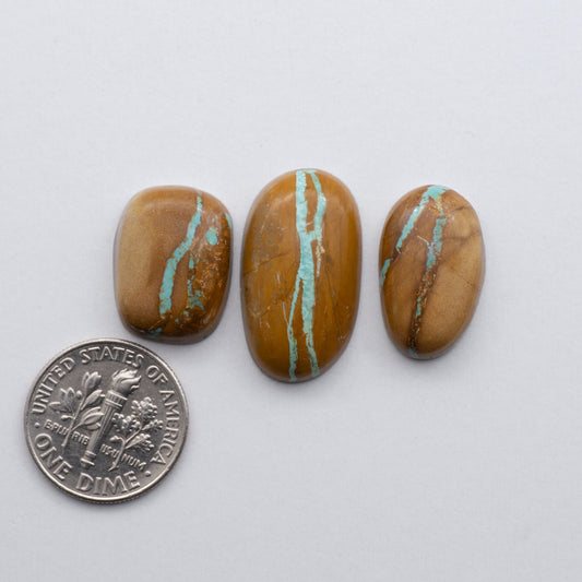 Crow Springs Ribbon Turquoise cabochon