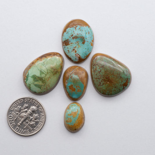 Crow Springs Turquoise cabochon