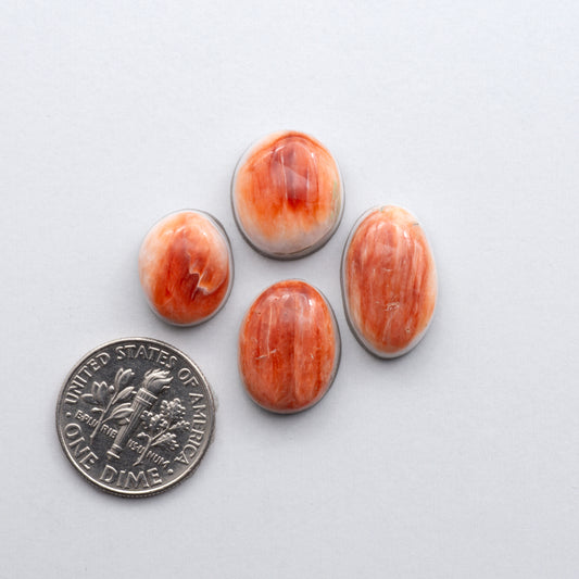 Add a unique, natural touch to your jewelry designs with our Spiny Oyster Cabochons.