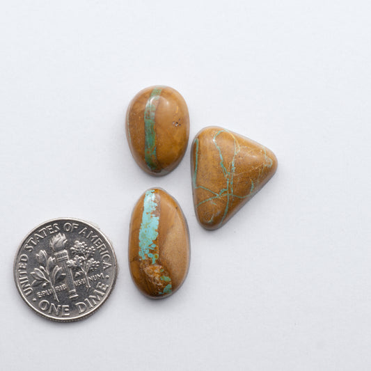 Crow Springs Ribbon Turquoise Cabochon