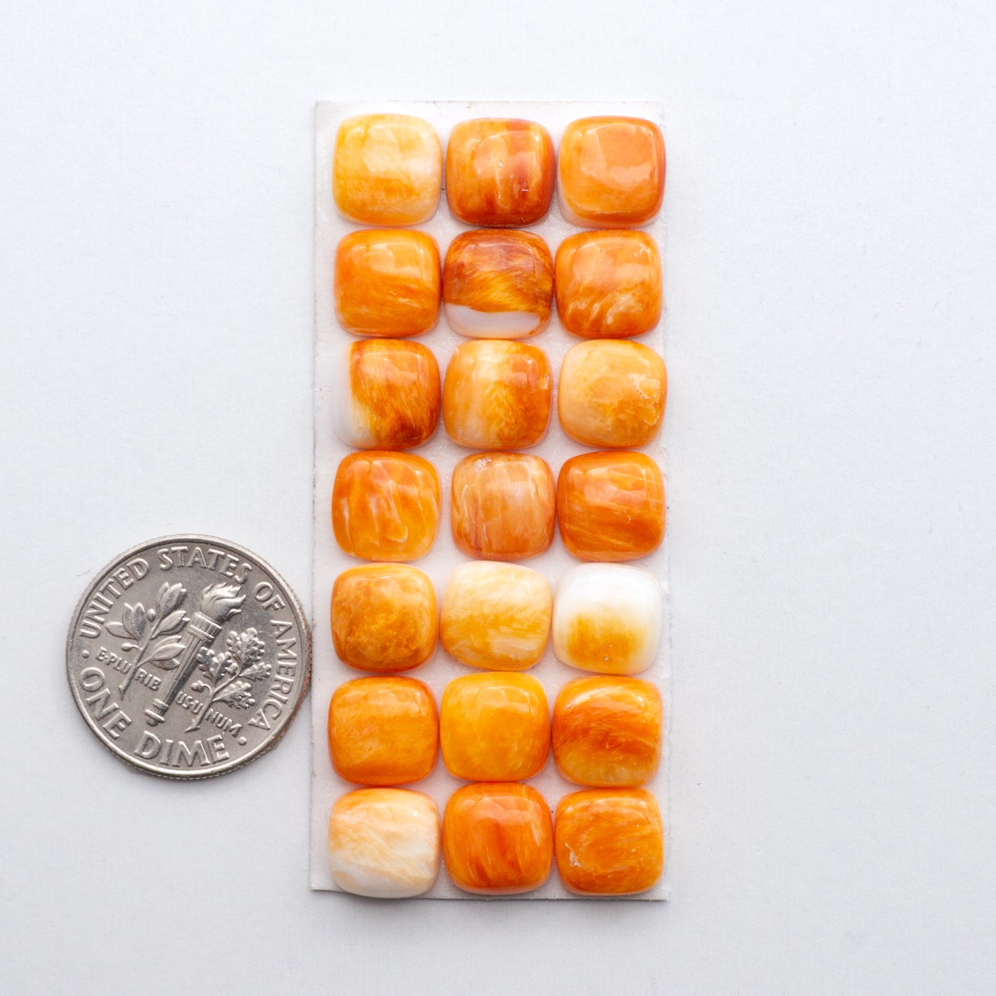 Add a unique, natural touch to your jewelry designs with our Orange Spiny Oyster Cabochons. 