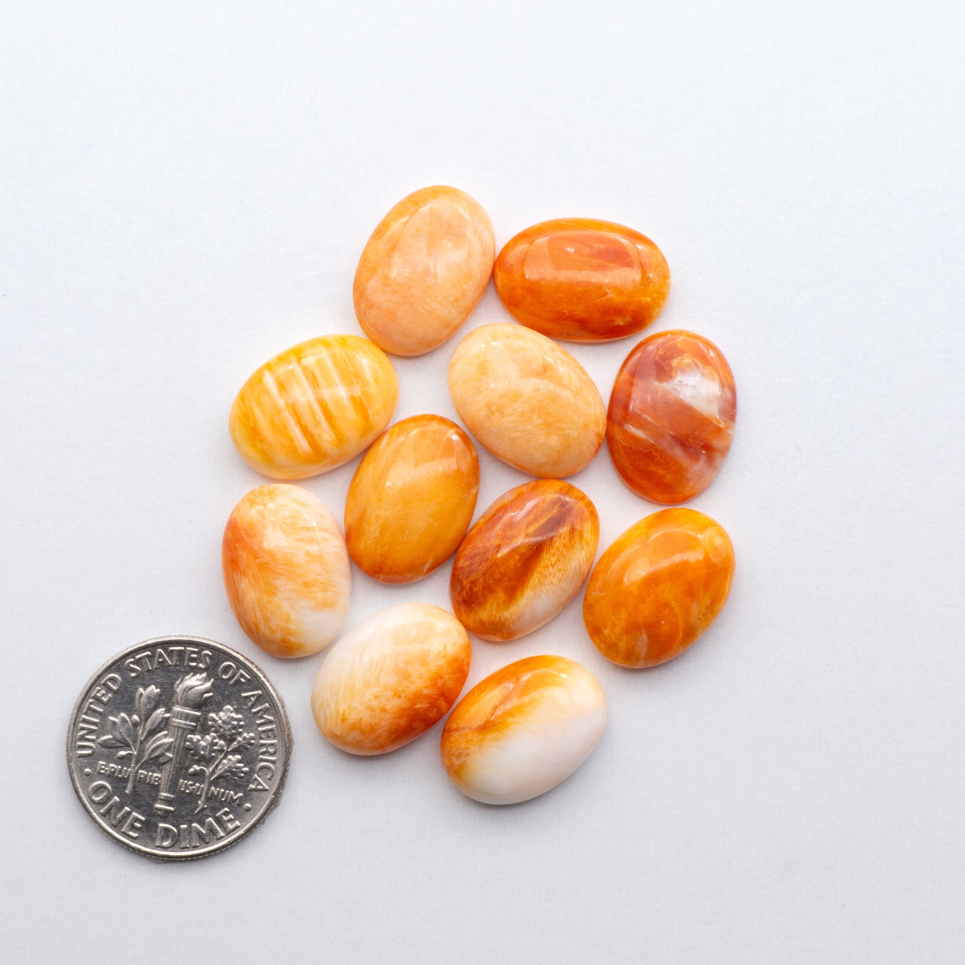 Add a unique, natural touch to your jewelry designs with our Orange Spiny Oyster Cabochons. 