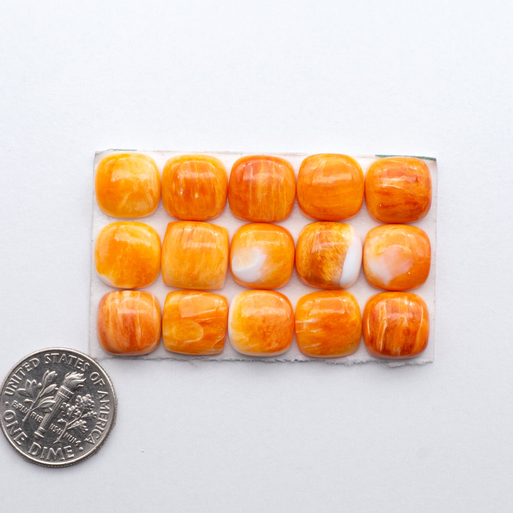 Add a unique, natural touch to your jewelry designs with our Orange Spiny Oyster Cabochons. 