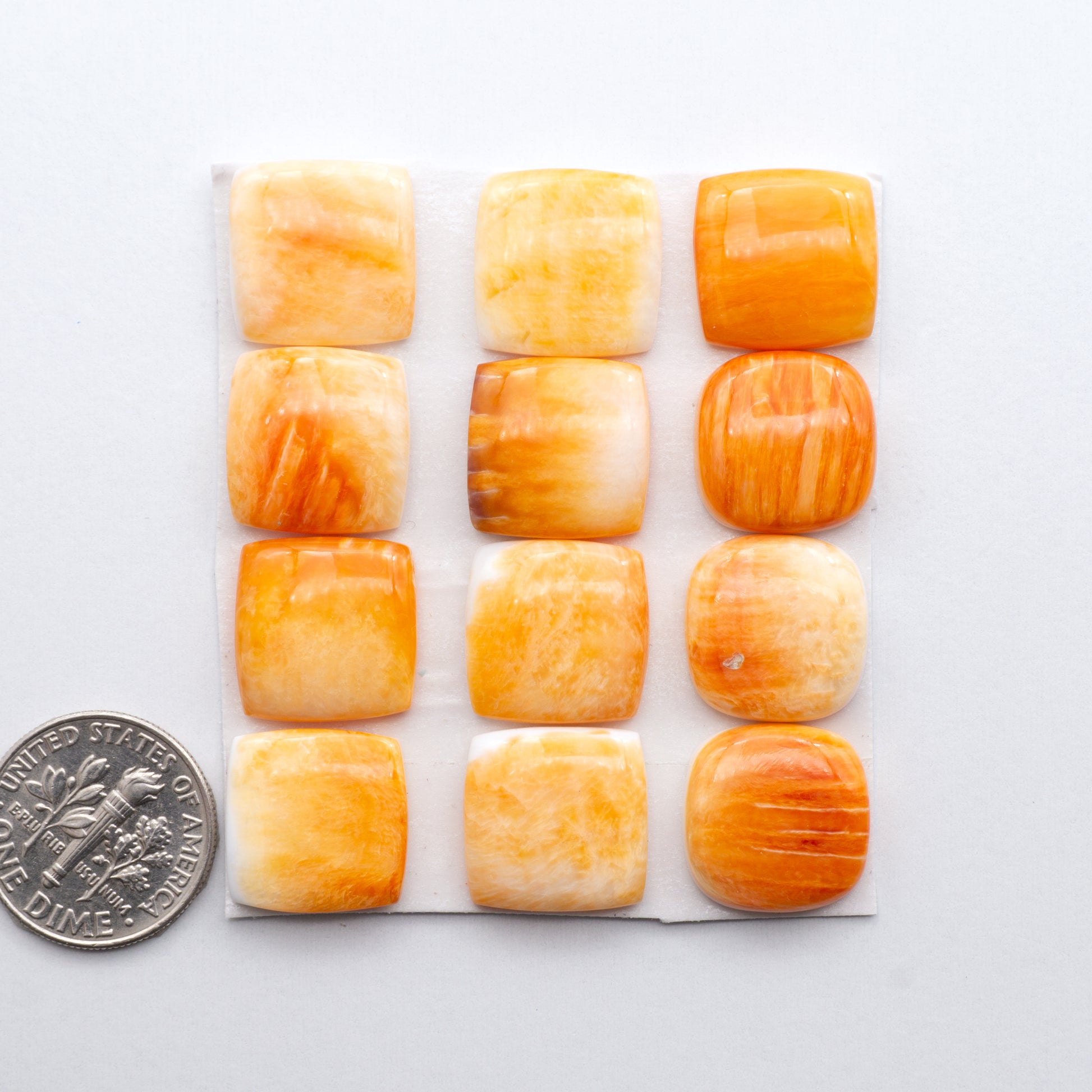 Add a unique, natural touch to your jewelry designs with our Orange Spiny Oyster Cabochons. 