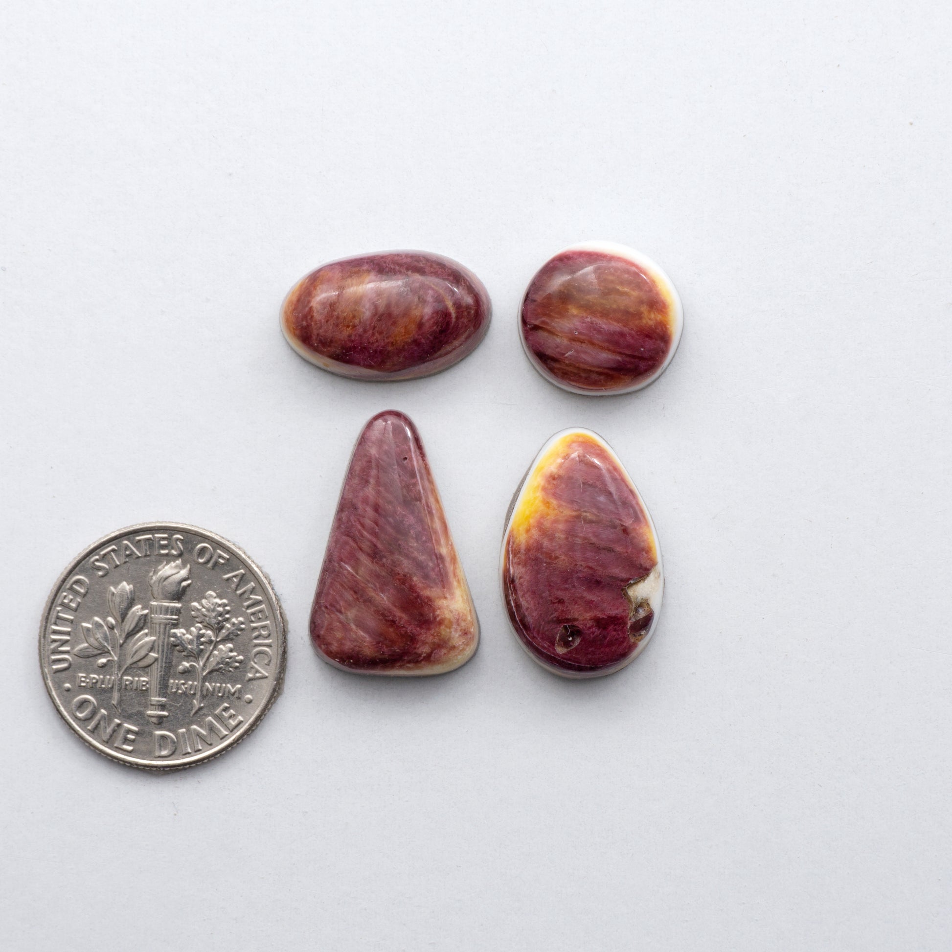 Add a unique, natural touch to your jewelry designs with our Spiny Oyster Cabochons.