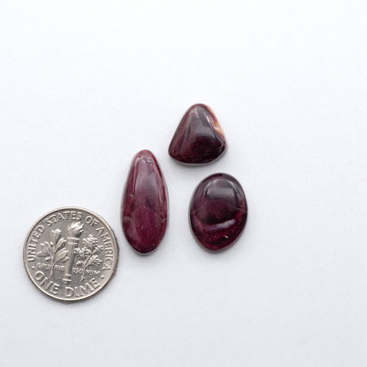 Add a unique, natural touch to your jewelry designs with our Spiny Oyster Cabochons.