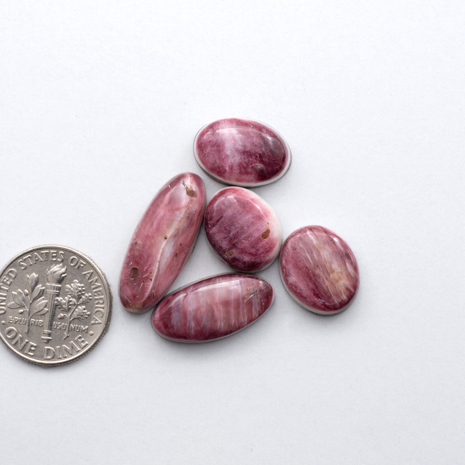 Add a unique, natural touch to your jewelry designs with our Spiny Oyster Cabochons.