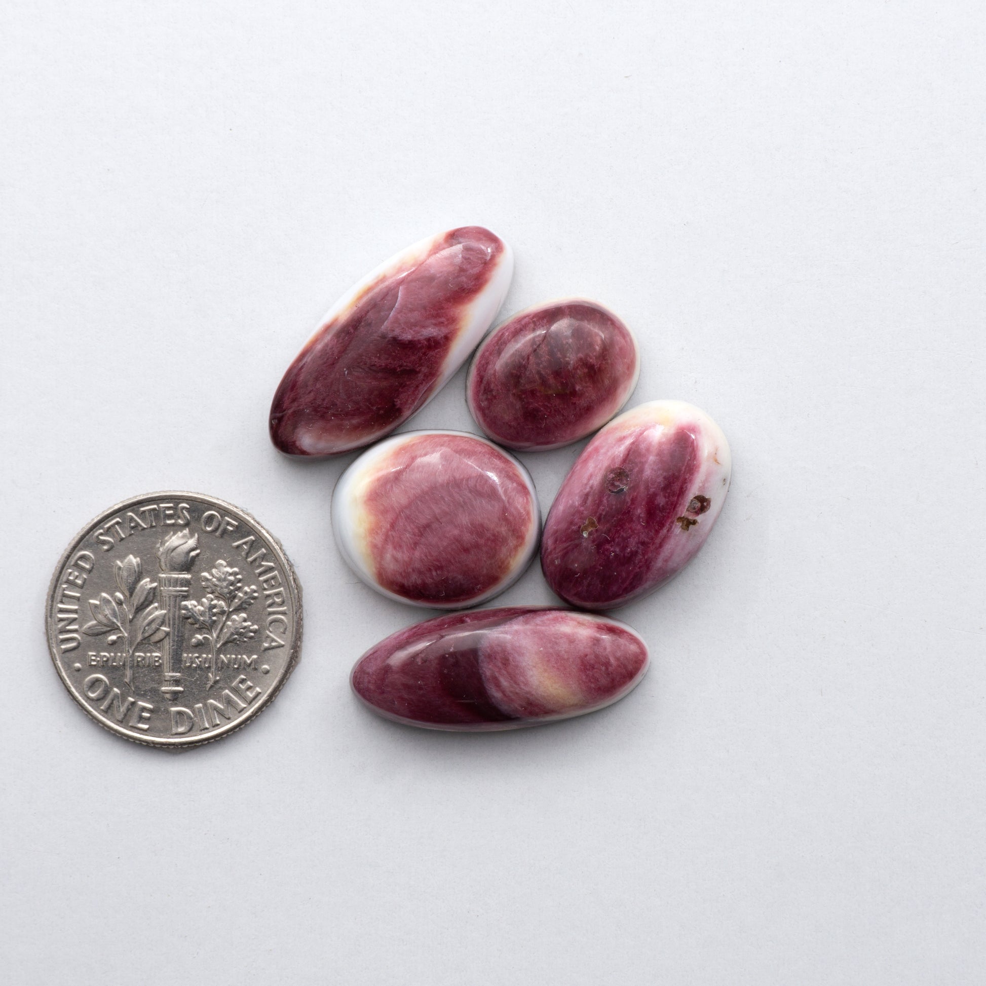 Add a unique, natural touch to your jewelry designs with our Spiny Oyster Cabochons.