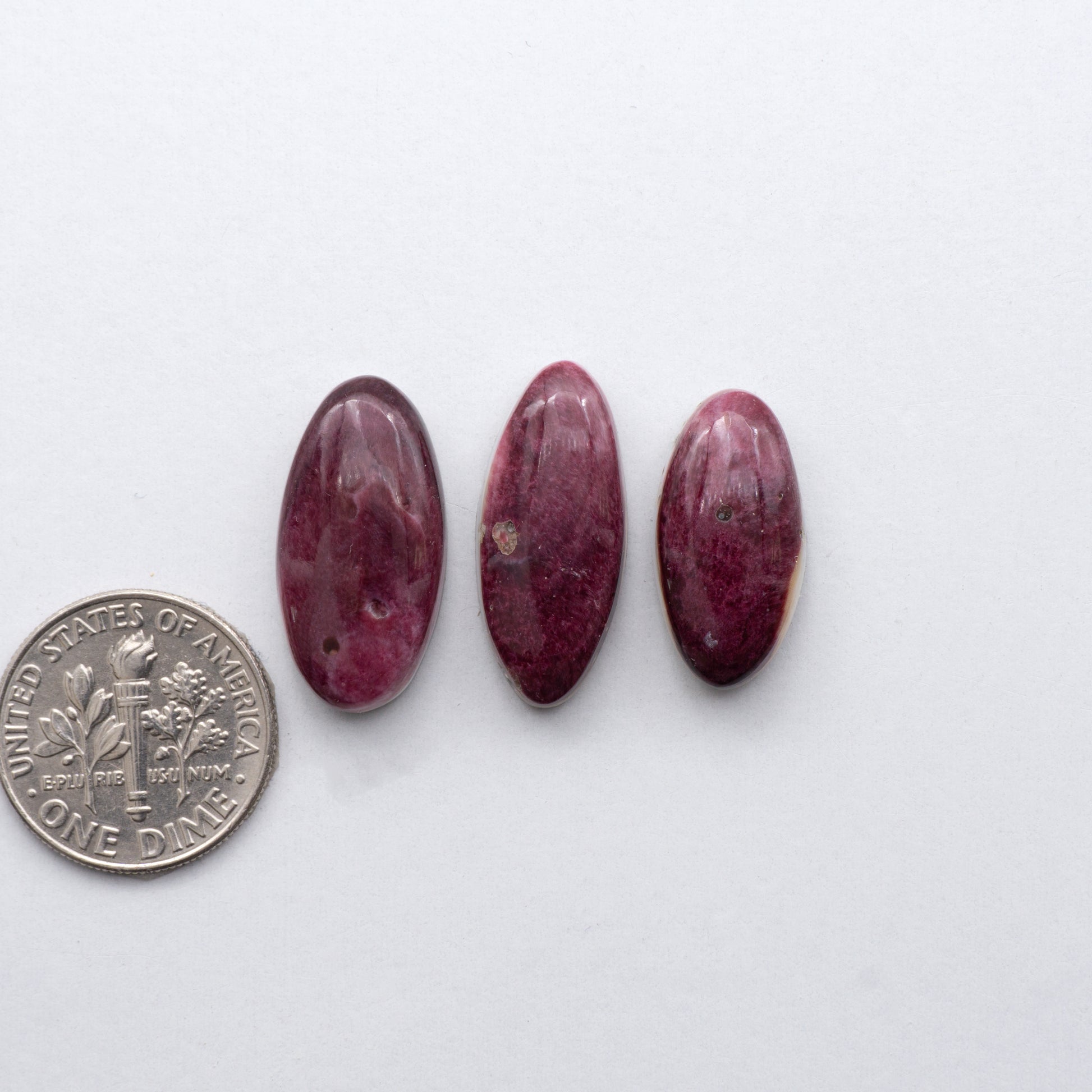 Add a unique, natural touch to your jewelry designs with our Spiny Oyster Cabochons.