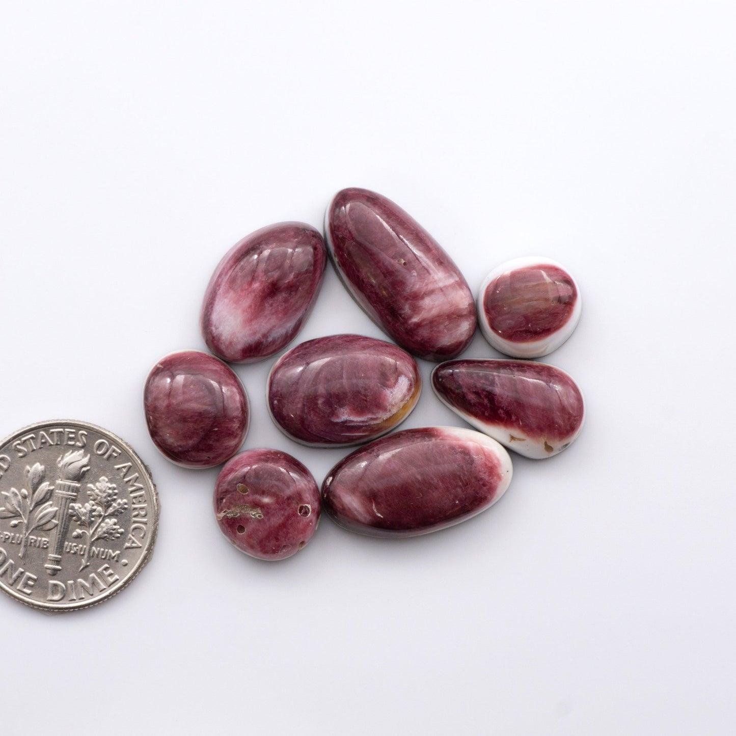 Add a unique, natural touch to your jewelry designs with our Spiny Oyster Cabochons.