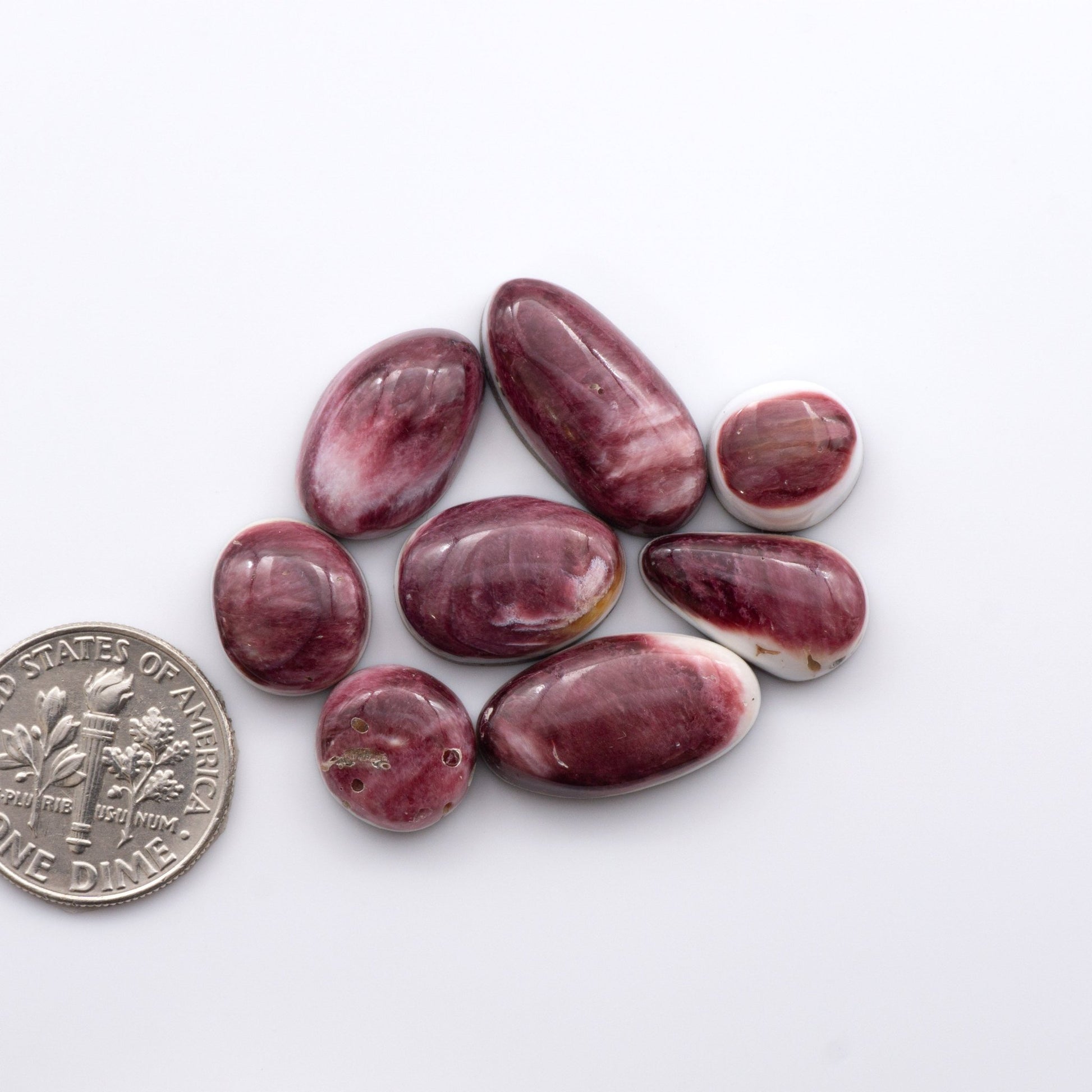 Add a unique, natural touch to your jewelry designs with our Spiny Oyster Cabochons.