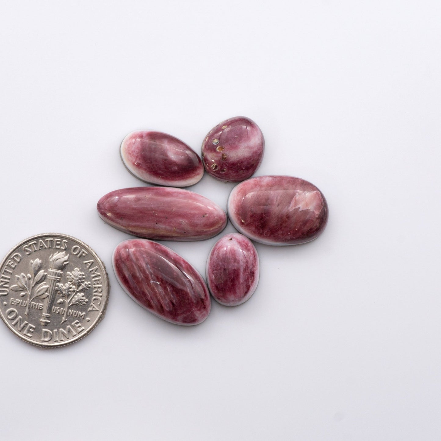 Add a unique, natural touch to your jewelry designs with our Spiny Oyster Cabochons.