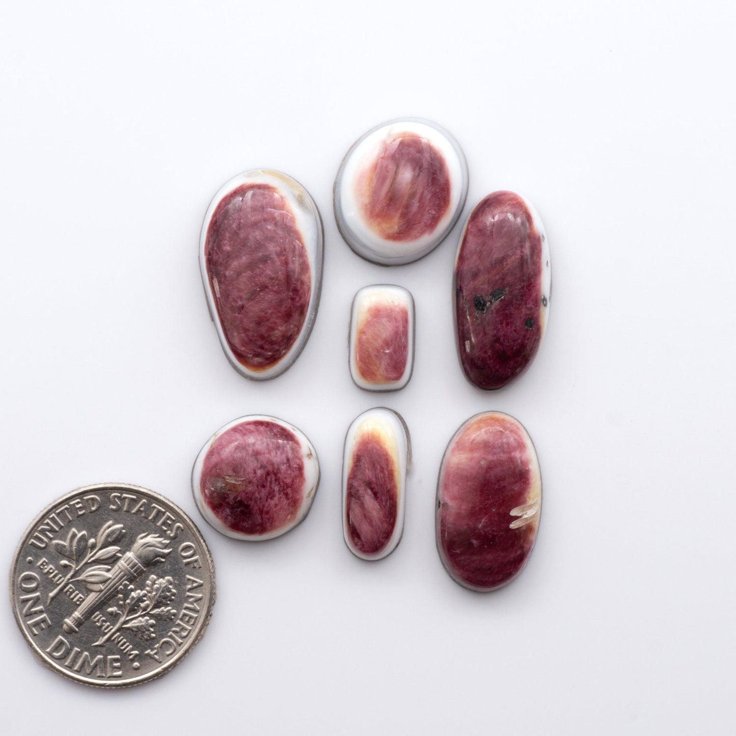Add a unique, natural touch to your jewelry designs with our Spiny Oyster Cabochons.