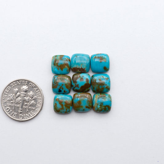 Add a touch of unique beauty to your collection with our stunning Pilot Mountain Turquoise cabochons.