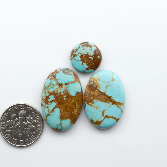 Number 8 Turquoise Cabochons have been selected for their quality and unique appearance. Don't miss the chance to add a one-of-a-kind piece to your collection.