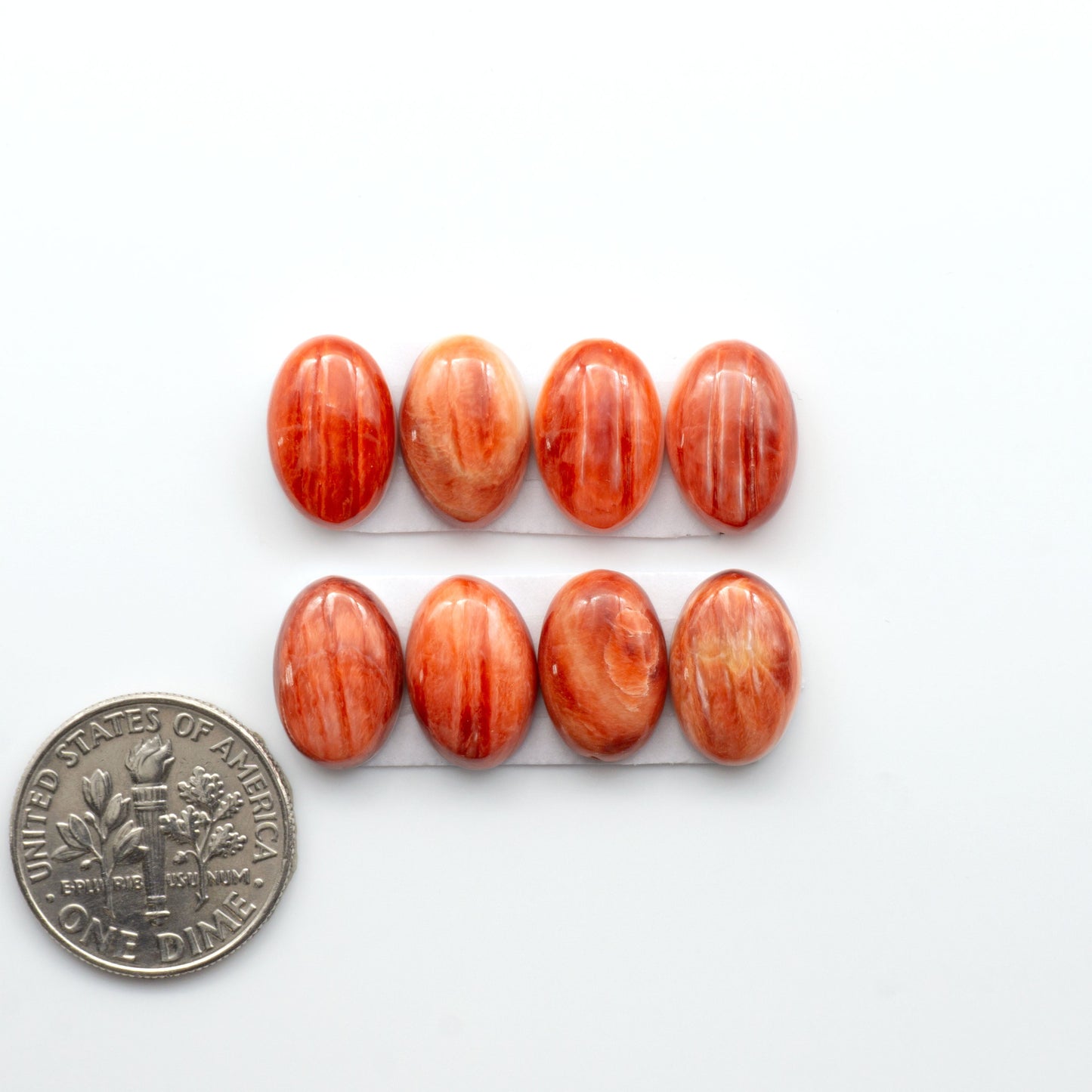 Add a unique touch to your jewelry designs with our beautiful 100% Natural Spiny Oyster Shell Cabochons. Incorporate the beauty of the sea into your creations.