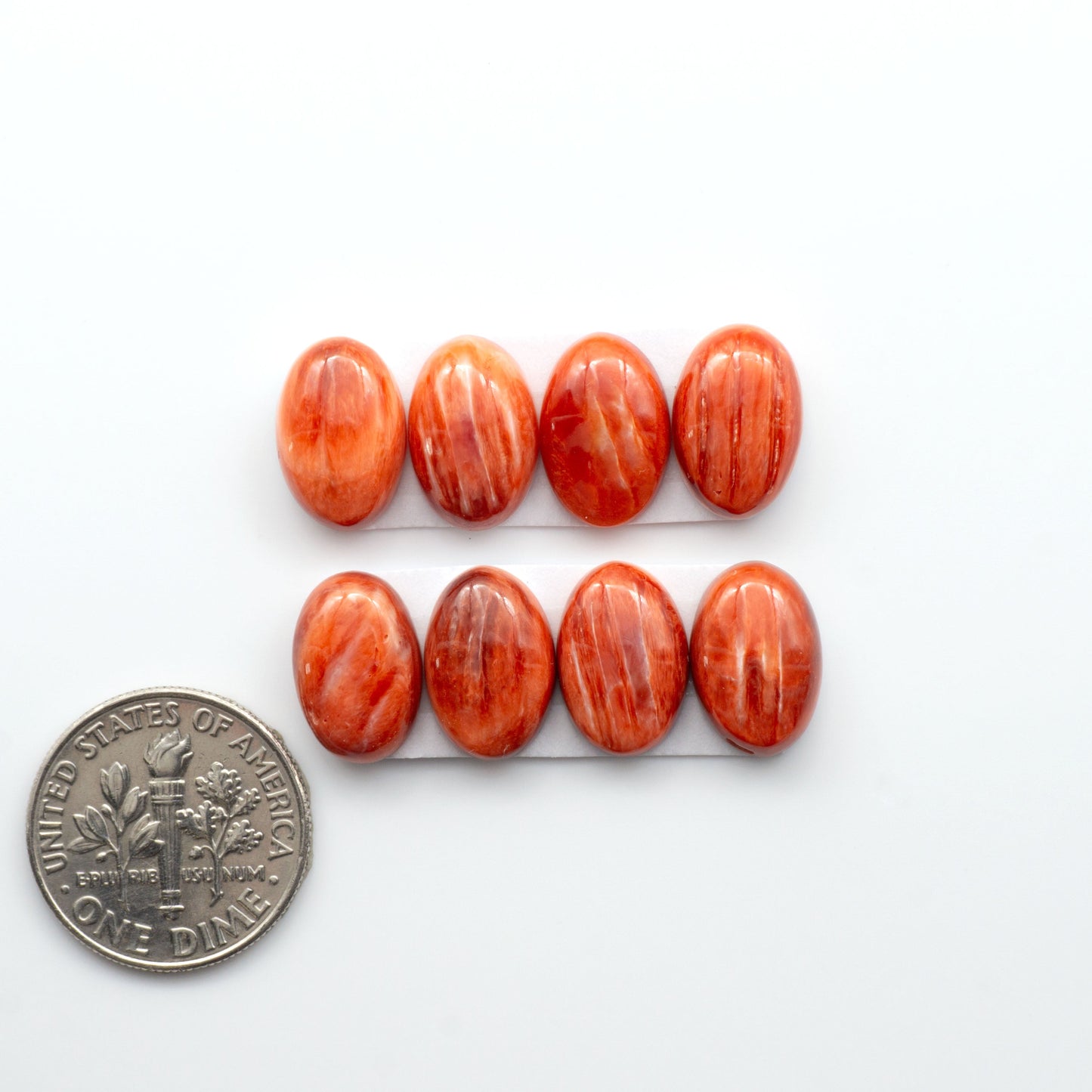 Add a unique touch to your jewelry designs with our beautiful 100% Natural Spiny Oyster Shell Cabochons. Incorporate the beauty of the sea into your creations.