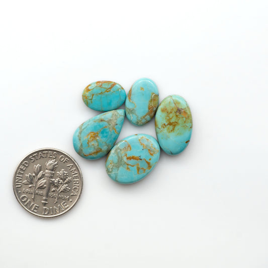 Add a touch of beauty to your collection with our stunning Pilot Mountain Turquoise Cabochons. Perfect for jewelry making each piece is truly one-of-a-kind.

