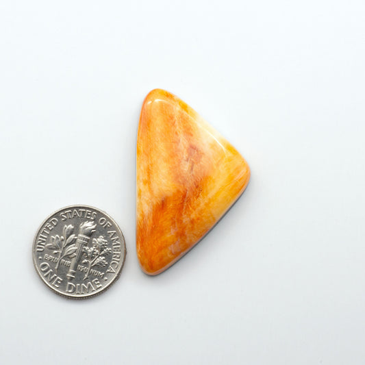 Add a unique, natural touch to your jewelry designs with our Spiny Oyster Cabochons. These beautiful cabochons are made from 100% natural spiny oyster shells.