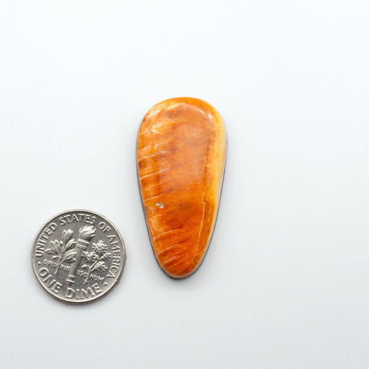 Add a unique, natural touch to your jewelry designs with our Spiny Oyster Cabochons. These beautiful cabochons are made from 100% natural spiny oyster shells.