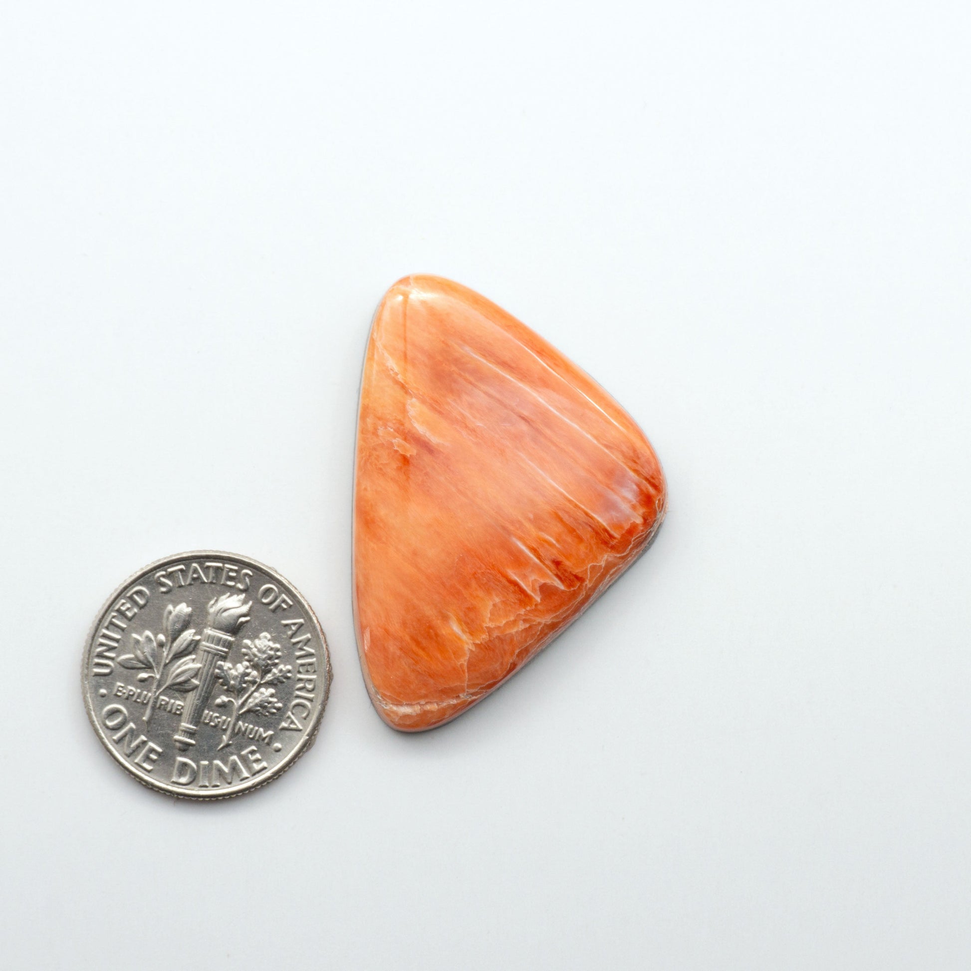Add a unique, natural touch to your jewelry designs with our Spiny Oyster Cabochons. These beautiful cabochons are made from 100% natural spiny oyster shells.