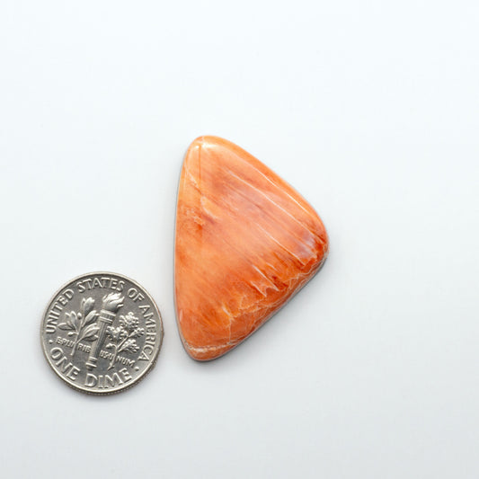 Add a unique, natural touch to your jewelry designs with our Spiny Oyster Cabochons. These beautiful cabochons are made from 100% natural spiny oyster shells.