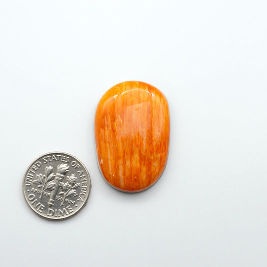 Add a unique, natural touch to your jewelry designs with our Spiny Oyster Cabochons. These beautiful cabochons are made from 100% natural spiny oyster shells.