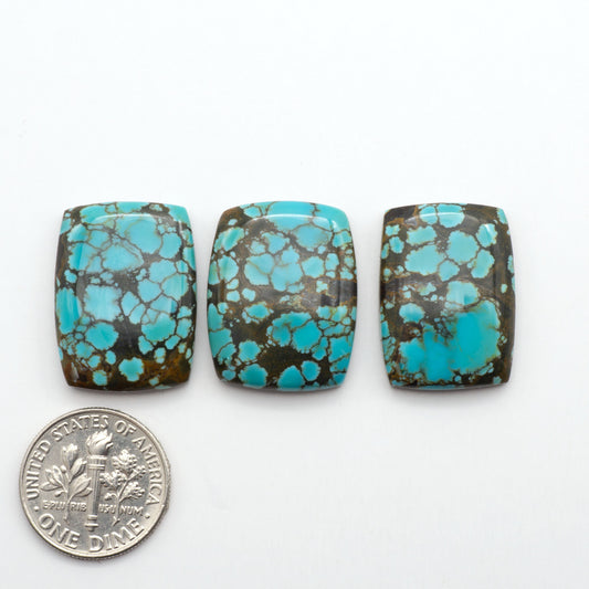 Blue Moon turquoise is a highly prized gemstone, renowned for its vibrant blue color with intricate patterns, making it a must-have for any jewelry collection.