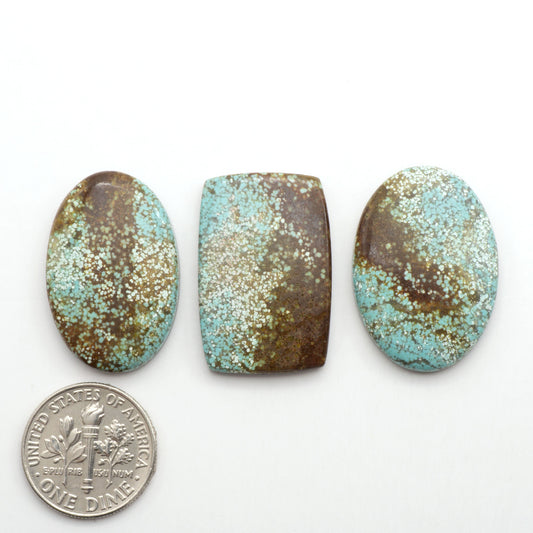 Number 8 Turquoise Cabochons have been selected for their quality and unique appearance. Don't miss the chance to add a one-of-a-kind piece to your collection.