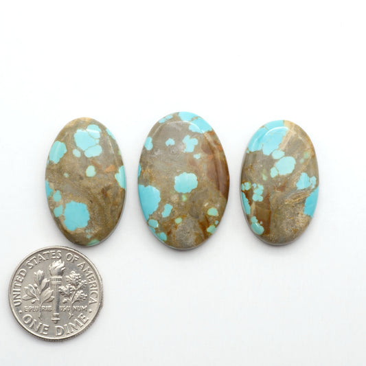 Number 8 Turquoise Cabochons have been selected for their quality and unique appearance. Don't miss the chance to add a one-of-a-kind piece to your collection.