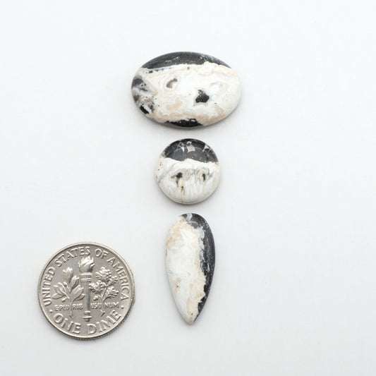 Natural White Buffalo Stone Cabochons are semi-precious gemstones cut into shapes ideal for jewelry-making, making them an excellent choice for artisans.