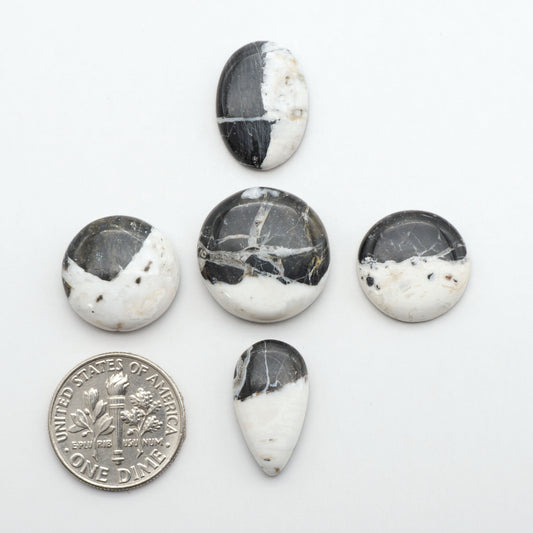 Natural White Buffalo Stone Cabochons are semi-precious gemstones cut into shapes ideal for jewelry-making, making them an excellent choice for artisans.