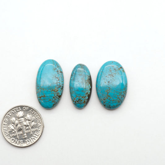 Number 8 Turquoise Cabochons have been selected for their quality and unique appearance. Don't miss the chance to add a one-of-a-kind piece to your collection.
