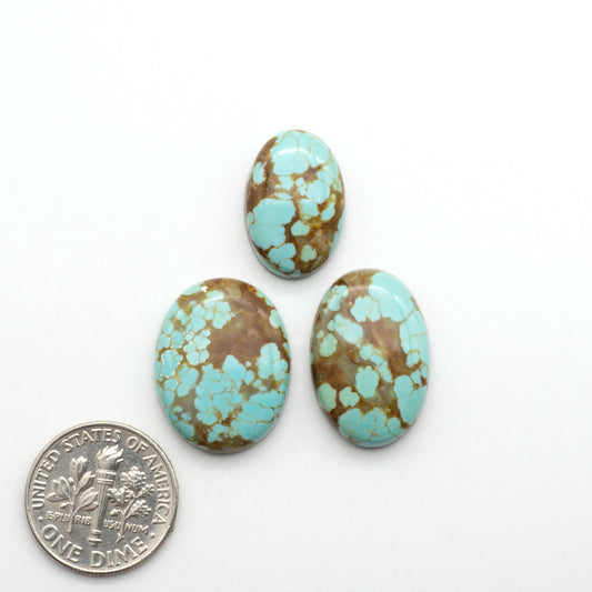 Number 8 Turquoise Cabochons have been selected for their quality and unique appearance. Don't miss the chance to add a one-of-a-kind piece to your collection.