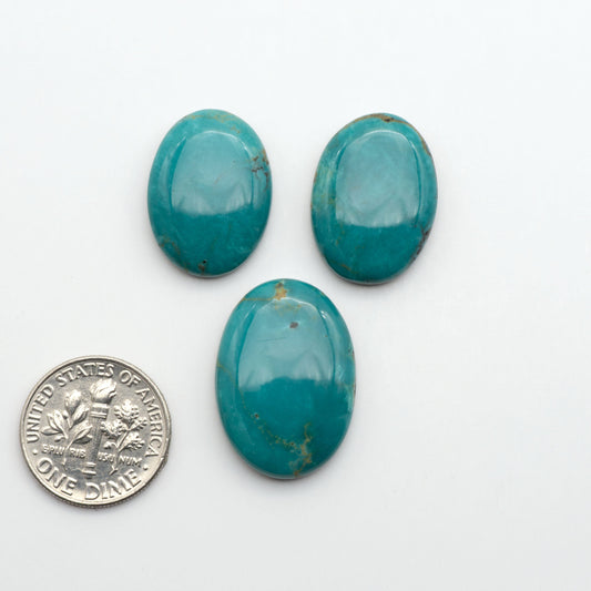 Three turquoise stones on a white background with a silver dollar coin for scale.
