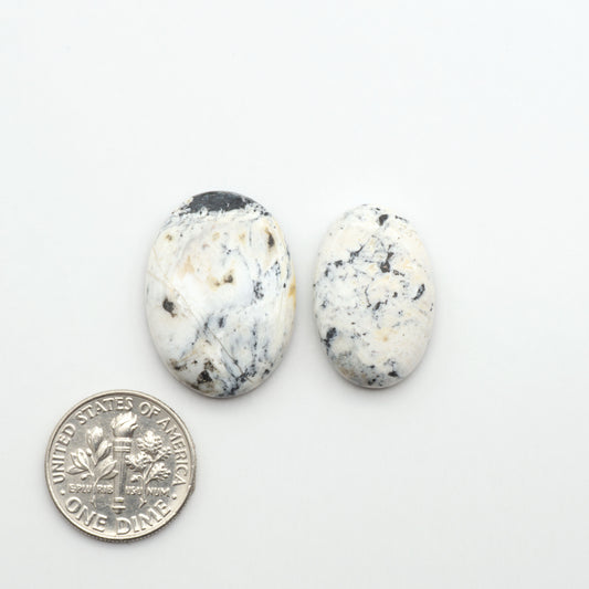 Cabujones de piedra de búfalo blanco