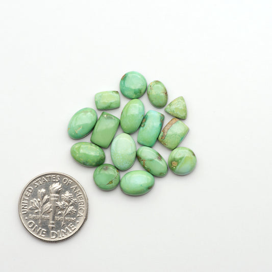 Sonoran Mountain Turquoise