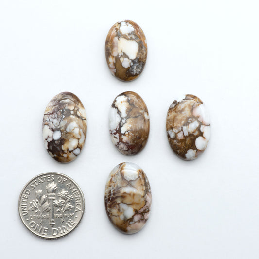 Wild Horse Cabochon are a magnificent addition to any collection. Natural magnesite stones feature a design that will add beauty to any jewelry design.