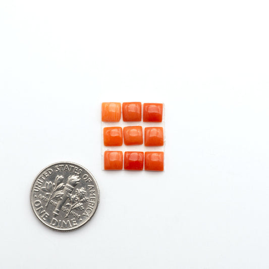 Discover natural Red Coral cabochons with deep crimson hues and smooth polish, ideal for creating timeless handcrafted rings, pendants, and custom designs.