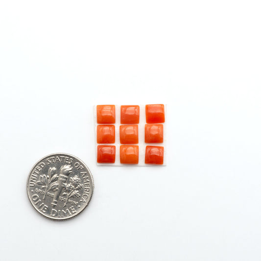 Discover natural Red Coral cabochons with deep crimson hues and smooth polish, ideal for creating timeless handcrafted rings, pendants, and custom designs.
